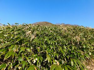 袴腰岳へ