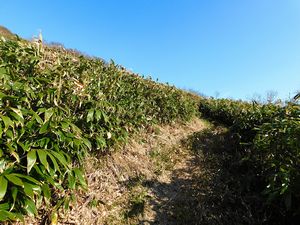 袴腰岳へ