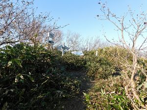 袴腰岳山頂から下山