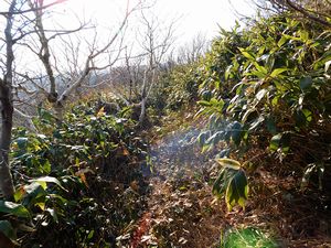 袴腰岳山頂から下山