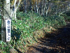 だんパラスキー場登山口