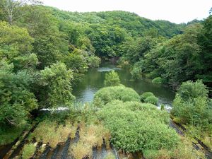 桜公園・自由広場近くの漁川