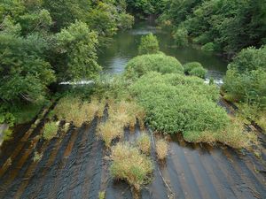 桜公園・自由広場近くの漁川