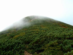 馬の背から山頂へ