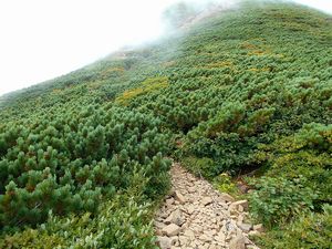 馬の背から山頂へ