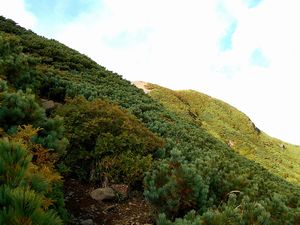 馬の背から山頂へ