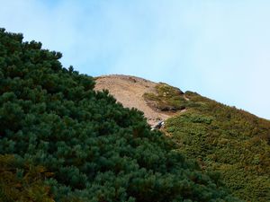 馬の背から山頂へ