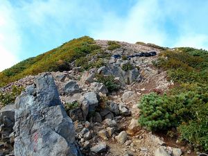 馬の背から山頂へ