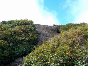 馬の背から山頂へ