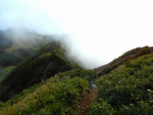 馬の背から山頂へ