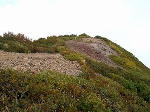 馬の背から山頂へ