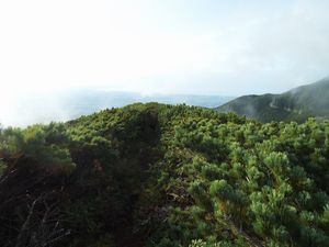 熊見峠