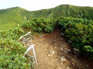 熊見峠