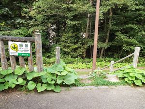 三段の滝・滝見広場へ