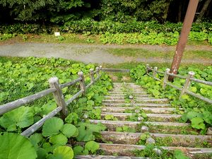 三段の滝・滝見広場へ