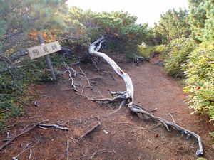 熊見峠