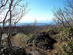 登山道からの景色