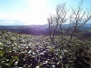 登山道からの景色