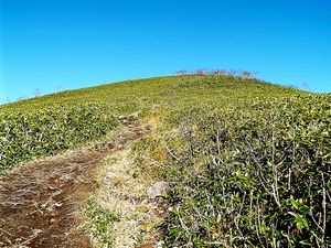 登山道からの景色