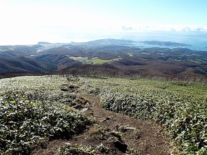 登山道からの景色