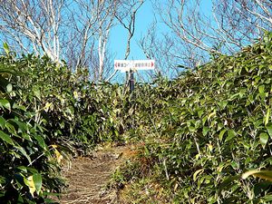 登山道からの景色