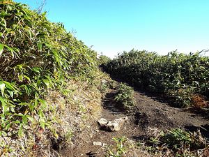 登山道からの景色