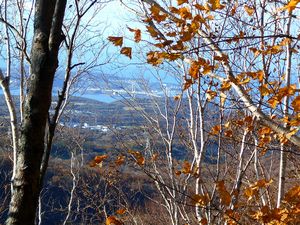 登山道からの景色