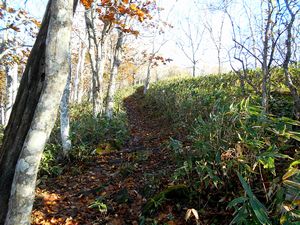 登山道からの景色