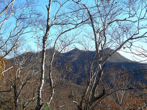 登山道からの景色