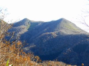 登山道からの景色