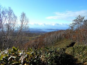 登山道からの景色