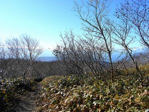 登山道からの景色