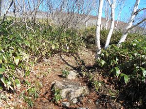 登山道の途中で