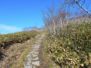 登山道の途中で