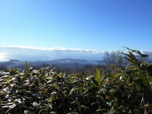 登山道の途中で