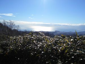 登山道の途中で