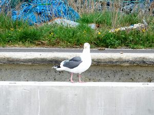 落部漁港から