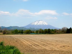 留寿都村へ向かう途中で