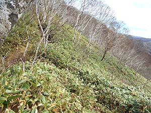 水元沢コース分岐へ
