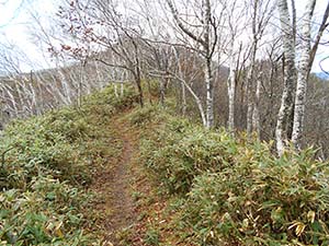 水元沢コース分岐へ
