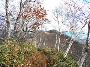 水元沢コース分岐へ
