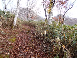 水元沢コース分岐へ