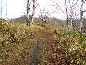 水元沢コース分岐へ