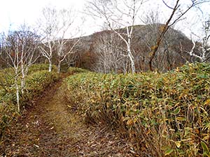 水元沢コース分岐へ
