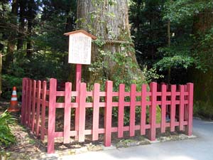 箱根神社