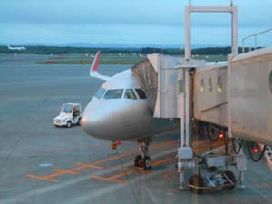 乗って来た飛行機の様子