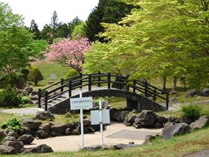 新中野ダム