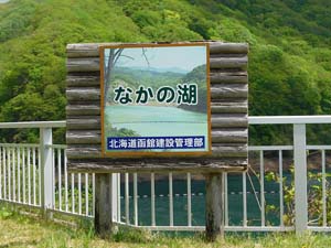 新中野ダムなかの湖