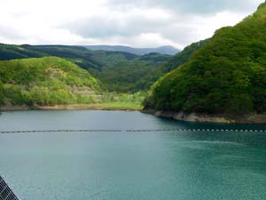 新中野ダムなかの湖