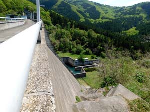 新中野ダムなかの湖